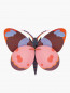 Preview: Wanddeko Bellissima Butterfly