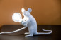 Preview: Tischleuchte Brain
